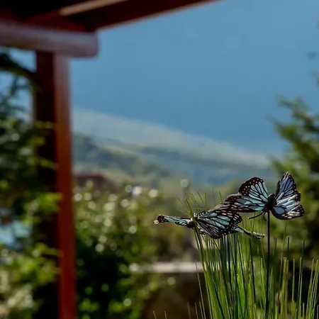 Calma Biokovo Near Makarska